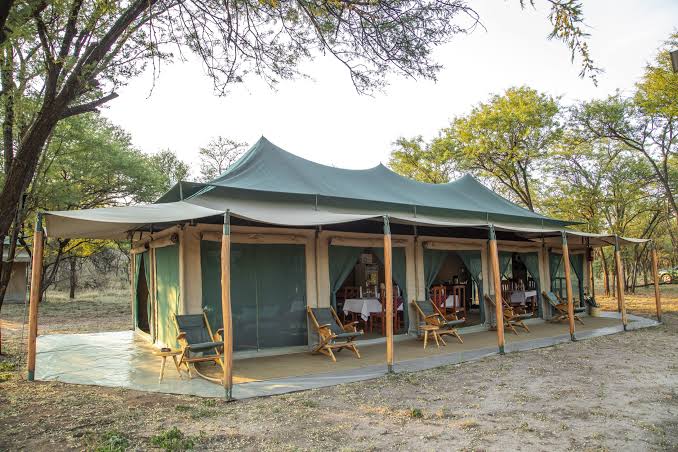 Luxury tented camps offering premium glamping accommodation in the heart of the African wilderness